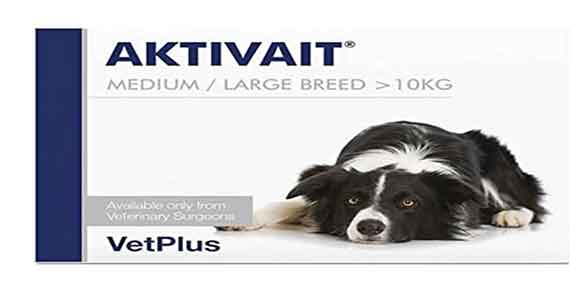 Caja del suplemento para el envejecimiento cerebral Aktivait de VetPlus para razas medianas y grandes de más de 10 kg, con la fotografía de un perro Border Collie sobre fondo blanco.