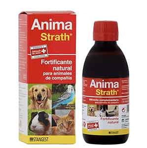 Caja roja y botella de jarabe del fortificante natural Anima Strath de 250 ml de laboratorios Stangest. El empaque muestra las fotografías de un perro, un gato, un ave y una cobaya, aislado sobre un fondo blanco.